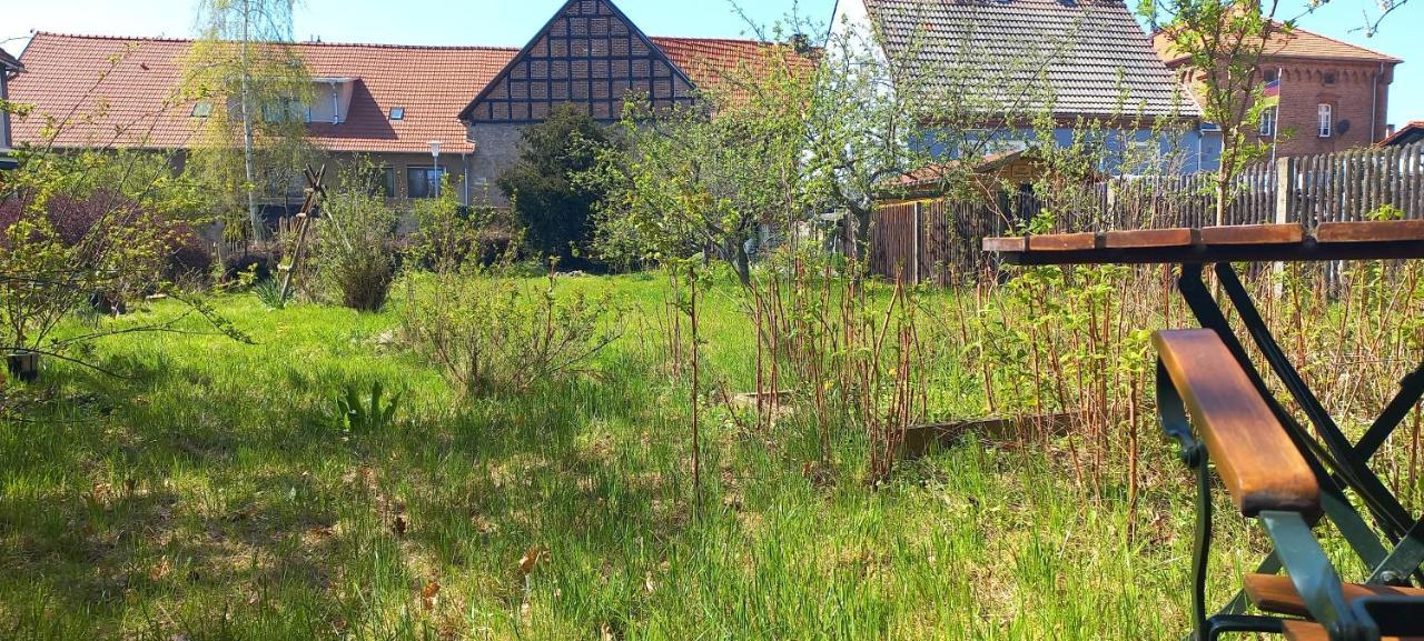 Apartment Mit Herz Im Harz Meisdorf Zewnętrze zdjęcie